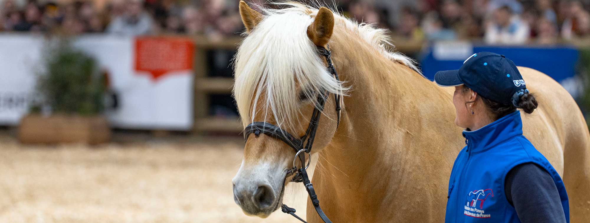 Cheval défile lors du Grand défilé