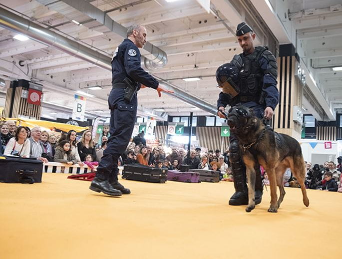 Gendarmerie dog demonstration