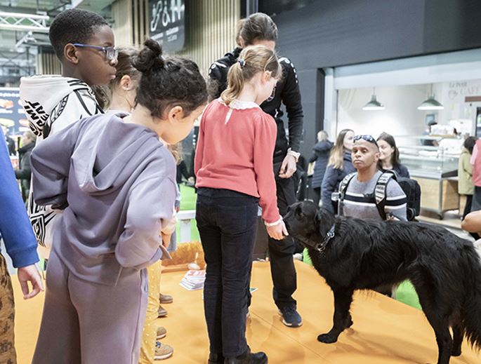 Children around a dog