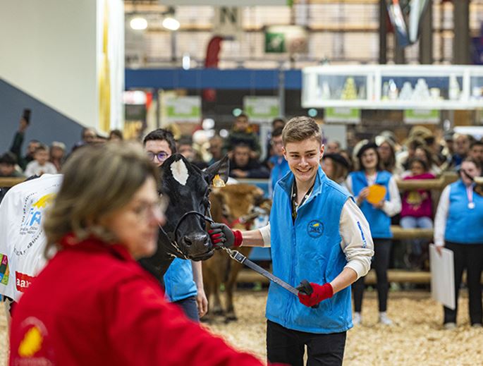 Boy next to a cow during a competition