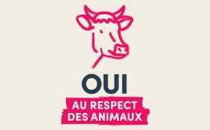 Infographie sur le respect des animaux sur Salon