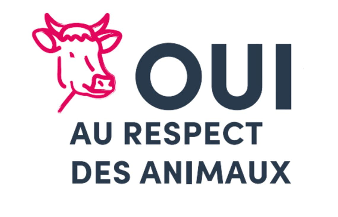 Infographie sur le respect des animaux