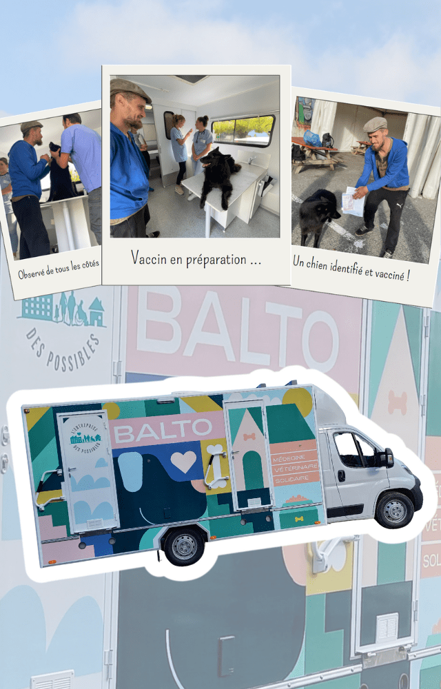 Balto-veterinary-bus