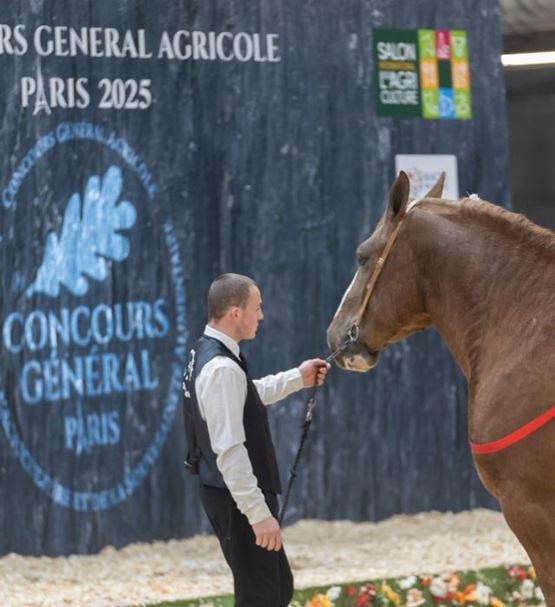 concours-general-agricole-horse-competition