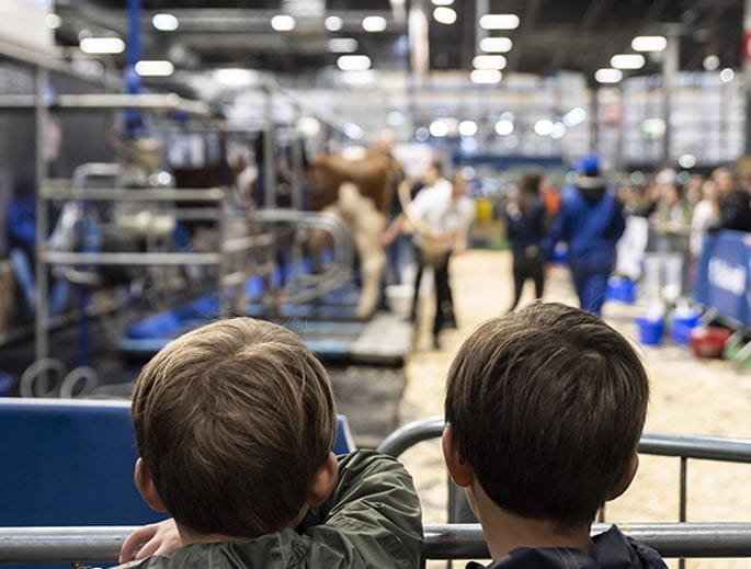 Enfants regardant les vaches dans la salle de traite