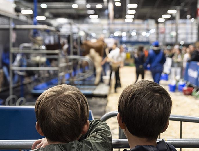 Children watching the cows in the milking parlour